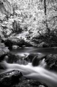 20151018 Cachoeira do Tombo DSC0335 Edit Edit (Full)